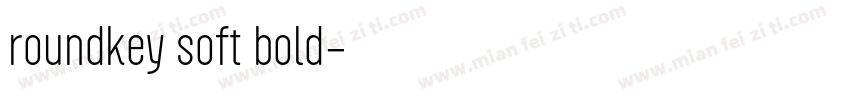 roundkey soft bold字体转换